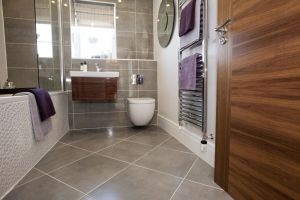 chestnut shadwell 37 sm.jpg